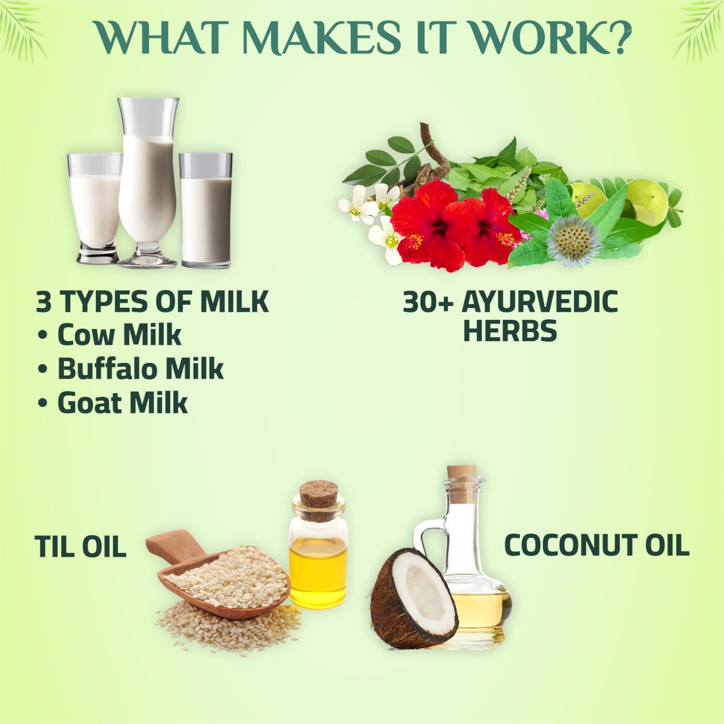 3‑in‑1 Ayurvedic Hair Oil