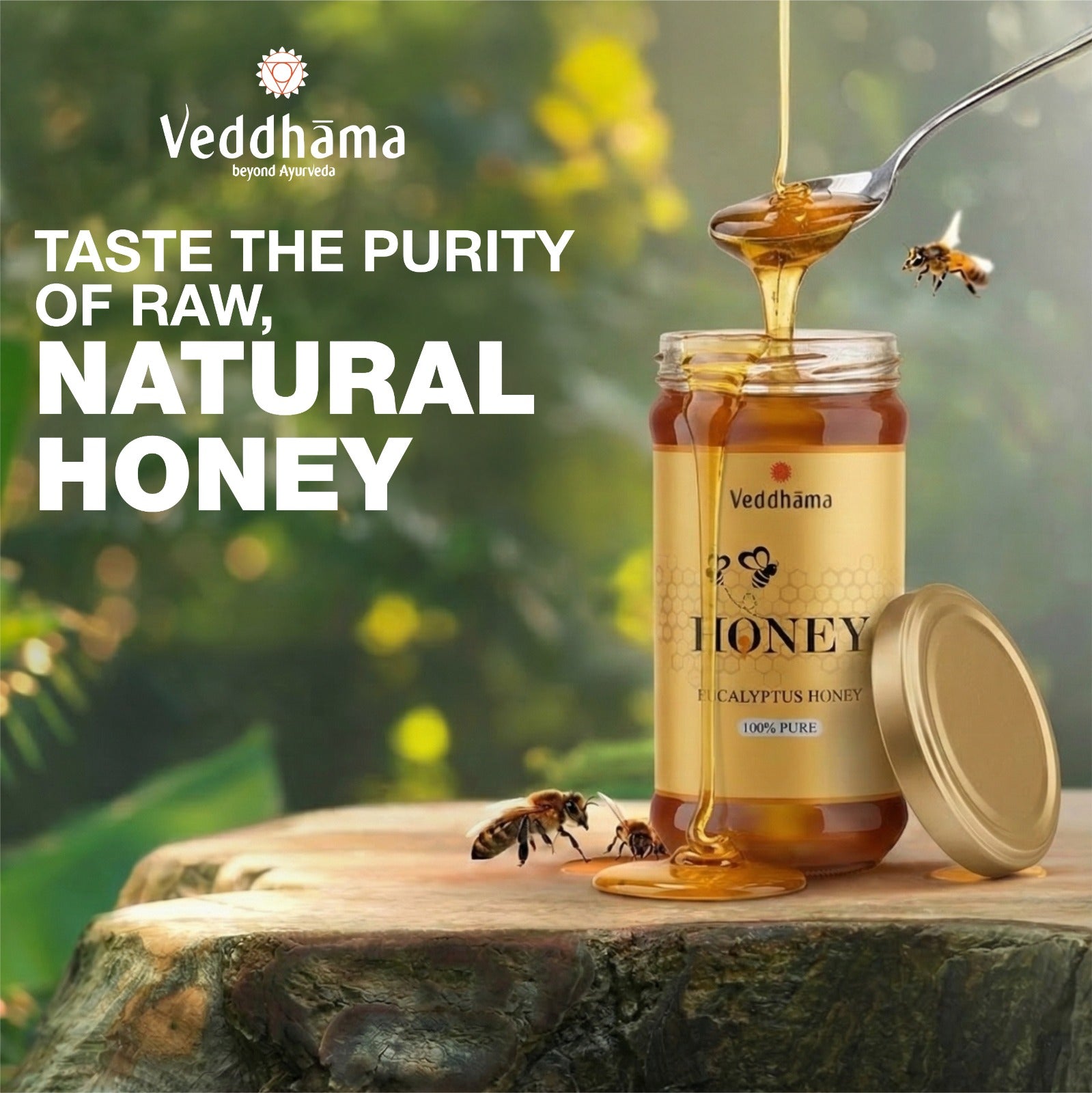Honey – 100% Pure & Raw Eucalyptus Honey – Hitayu