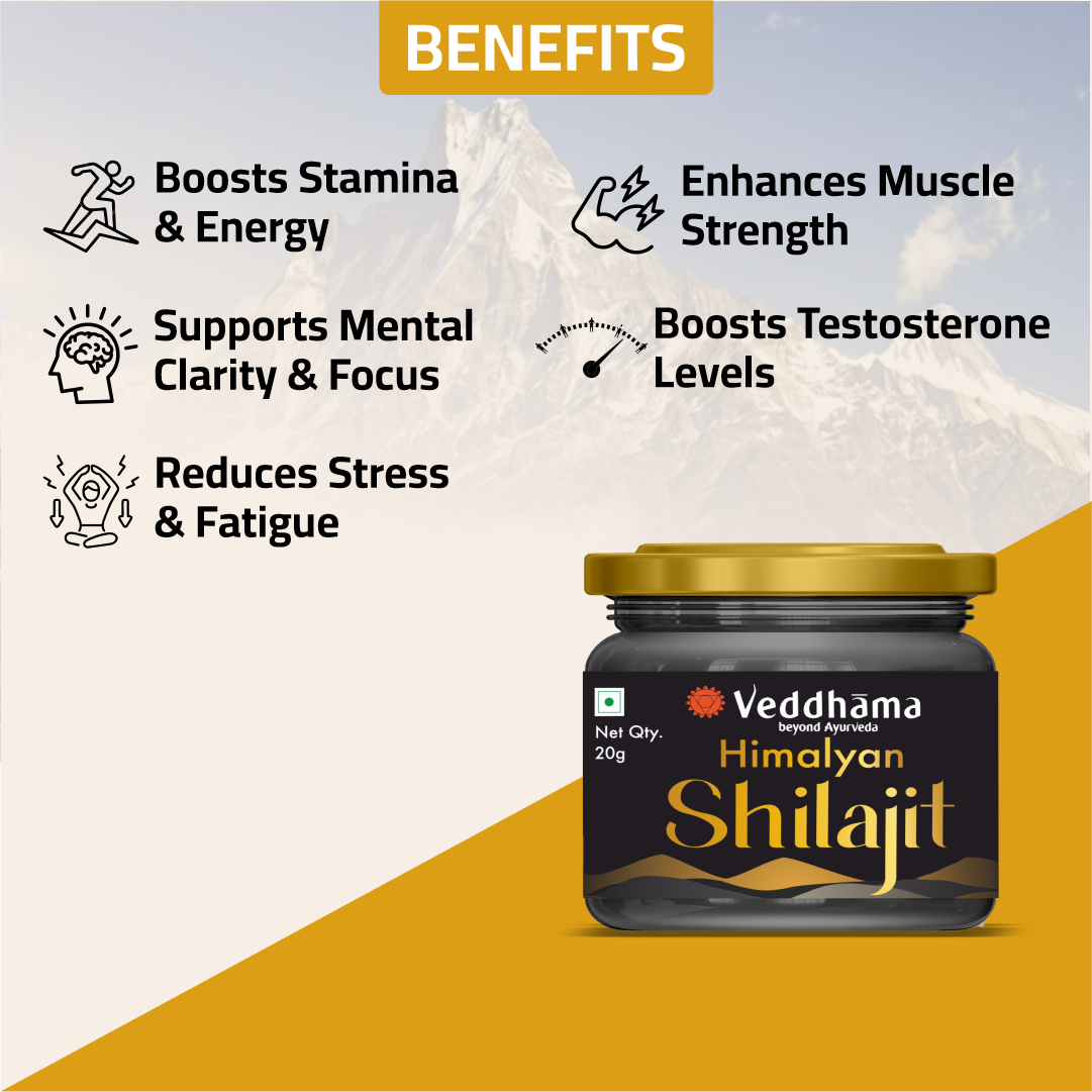 Shilajit | Ayurvedic Support for Energy, Stamina & Vitality