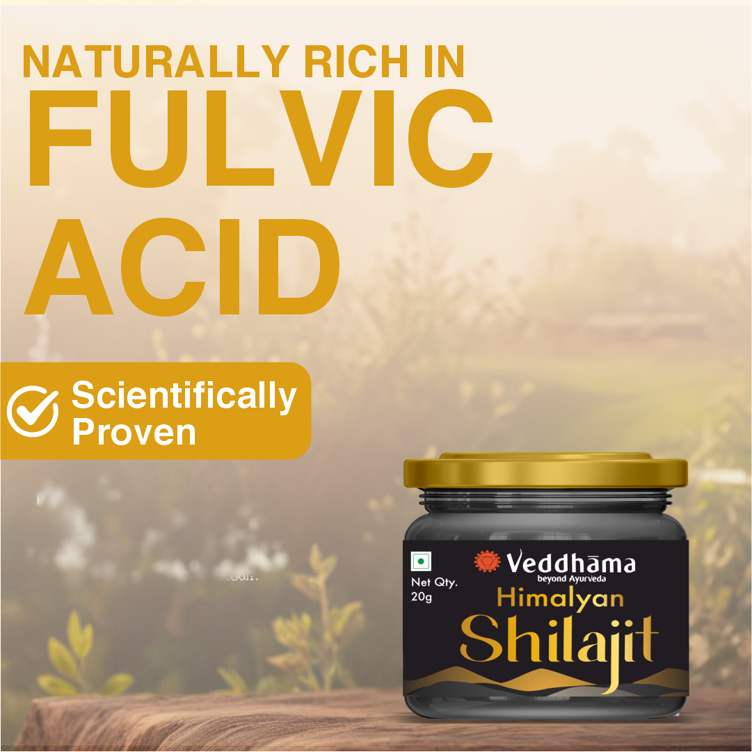 Shilajit | Ayurvedic Support for Energy, Stamina & Vitality