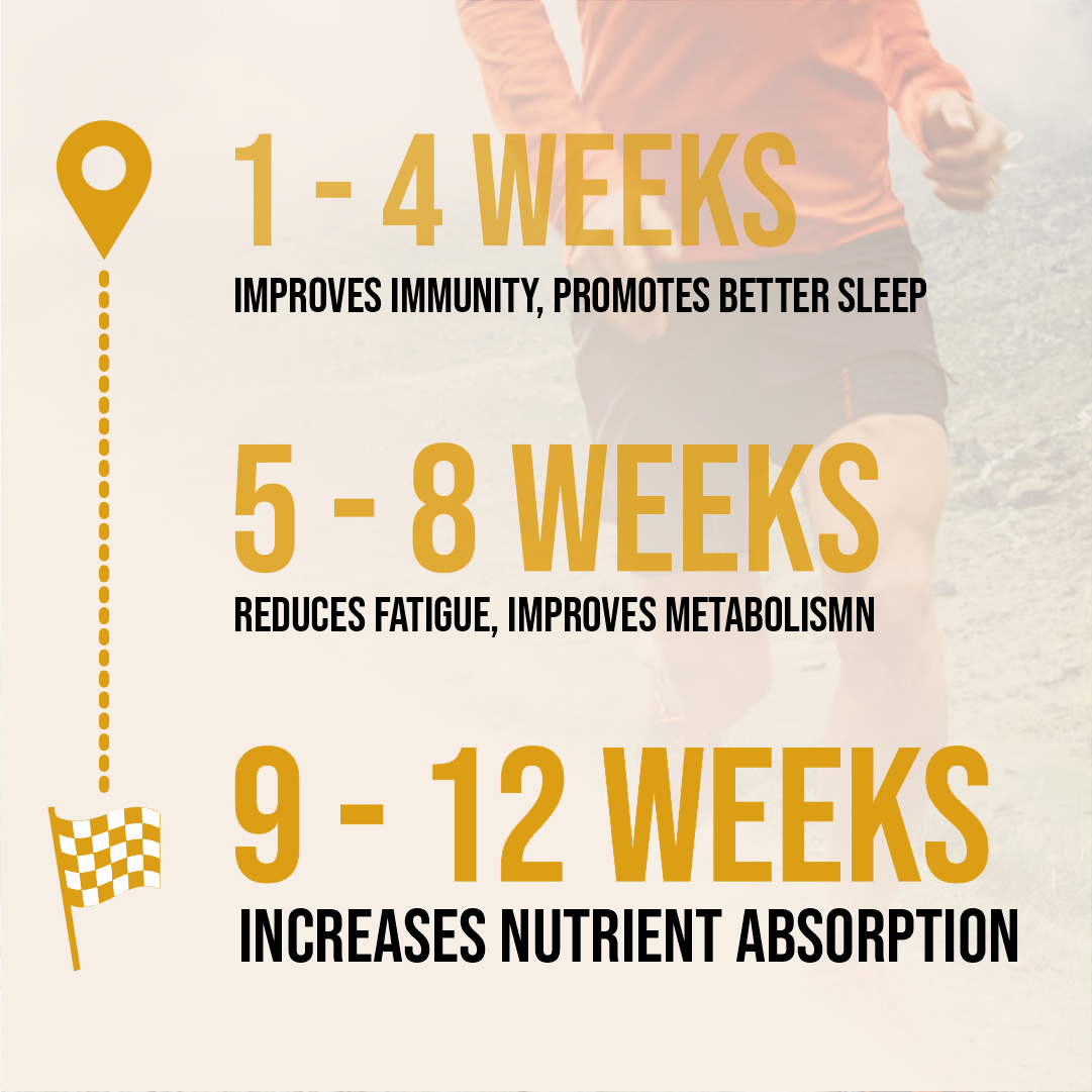 Shilajit | Ayurvedic Support for Energy, Stamina & Vitality